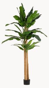 Pianta artificiale Banana