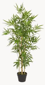 Set di 2 piante artificiali Bamboo I