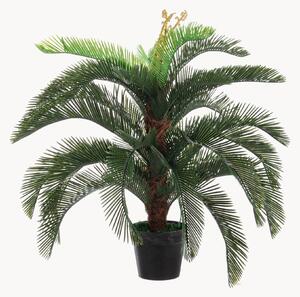 Pianta artificiale Palma Cycas