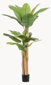 Pianta artificiale XL Baa