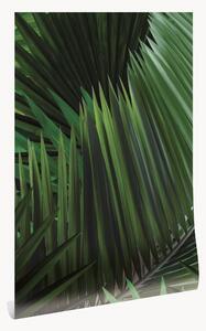 Carta da parati in tessuto non tessuto Palm