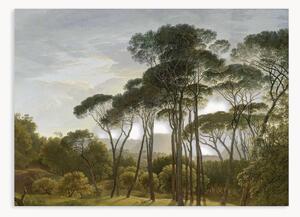 Carta da parati in tessuto non tessuto Golden Age Landscapes