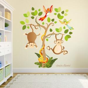 Albero Safari