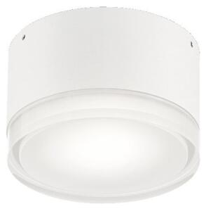 Ideal Lux Urano PL1 Small plafoniera per esterni in alluminio verniciato GX53