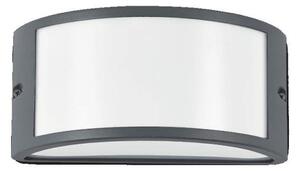 Ideal Lux Rex-1 AP1 applique esterno economiche E27 60W