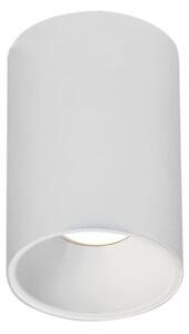 Rossini Pick PIK001+PIK003 apparecchio da soffitto con struttura cilindrica completo di riflettori