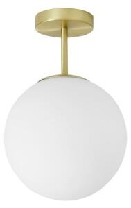 Miloox Jugen soffitto