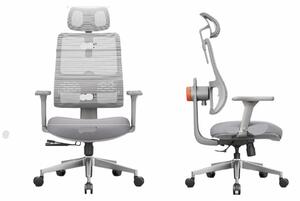 Sedia da ufficio ergonomica, grigia - Schienale alto con supporto lombare automatico e braccioli 3D