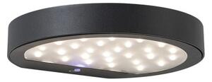 Rossini Nap NAP002AN lampada solare da parete IP54