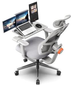 Sedia da ufficio ergonomica – Sedia da lavoro con supporto lombare regolabile e braccioli 3D