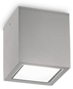 Ideal Lux Techo PL1 Small lampada da soffitto per esterni