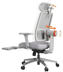 Sedia ergonomica da ufficio - Sedia da lavoro - Sedia per ufficio - Sedia per computer - Sedia da ufficio con supporto lombare regolabile