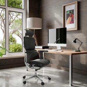 SEGGIO DA UFFICIO Ergohuman Gen2, design ergonomico, sedia da ufficio con supporto lombare flessibile, seduta imbottita, pelle nera