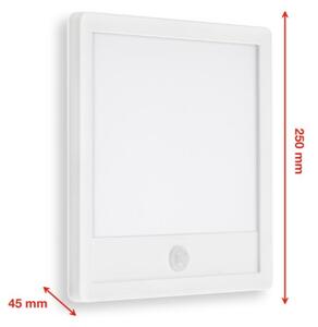 Telefunken 313806TF-LED Lampada esterna LED 15W 230V IP44 con sensore