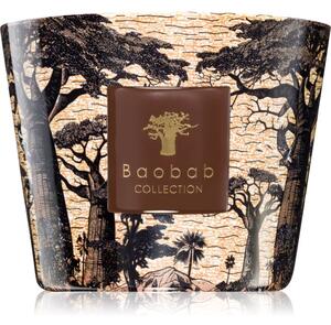Baobab Collection Sacred Trees Mankono candela profumata 500 g
