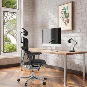 SEDILE Ergonomico ErgoHuman Gen2, sedia da ufficio dal design ergonomico, con supporto lombare flessibile, seduta imbottita, tessuto nero
