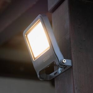 OSRAM Faretto da esterno a LED ENDURA FLOOD, grigio 50 W 3.000 K IP65 FLOOD, Alluminio / Grigio / Zincato, Alluminio