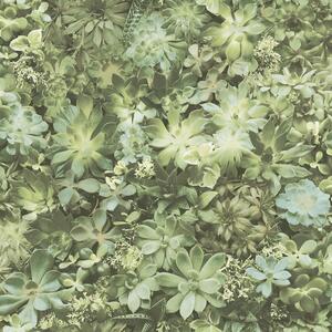 Noordwand Evergreen Carta da Parati Succulent Verde e Beige