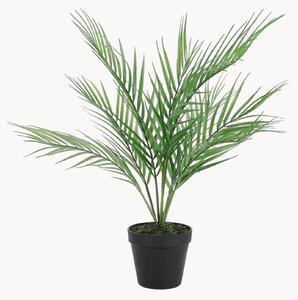 Pianta artificiale Palm Tree