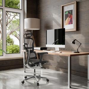 Sedia ergonomica da ufficio - Sedia da ufficio - Sedia da lavoro - Sedia da direttore - Sedia da gaming