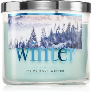 Bath & Body Works The Perfect Winter candela profumata 411 g