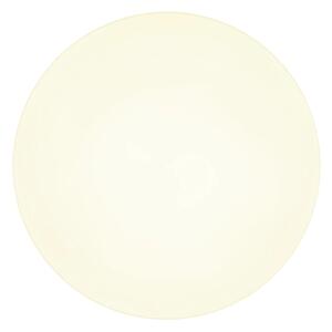 Globo 12384-24W - Plafoniera LED MATTHEW LED/24W/230V bianco