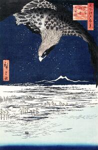 Riproduzione Japanese hawk 1857, Utagawa Hiroshige