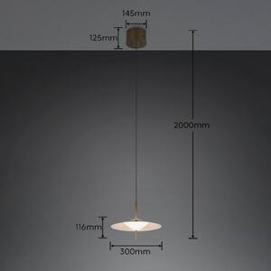 Trio Lighting Lampada a sospensione Amalo, dimmerabile, Alluminio / Grigio / Zincato, Soggiorno / Sala da pranzo, Metallo, Moderno, Lampada a sospensione