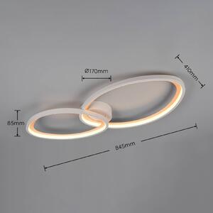 Trio Lighting Plafoniera soffitto Sivo, dimmerabile, Bianco / Opale, Soggiorno / Sala da pranzo, Metallo, Plafoniera