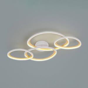 Trio Lighting Plafoniera soffitto Sivo, dimmerabile, Bianco / Opale, Soggiorno / Sala da pranzo, Metallo, Plafoniera