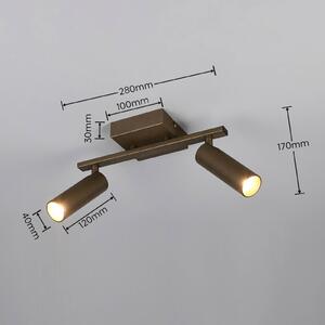 Trio Lighting Faretto da soffitto Dara, lunghezza 28 cm, color platino, metallo, a 2 luci. Dara, Alluminio / Grigio / Zincato, Soggiorno / Sala da pranzo, Metallo, Moderno, Downlight