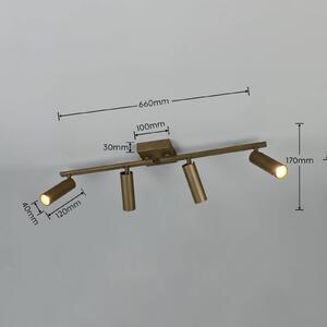 Trio Lighting Faretto da soffitto Dara, lunghezza 66 cm, metallo color platino, a 4 luci. Dara, Alluminio / Grigio / Zincato, Soggiorno / Sala da pranzo, Metallo, Moderno, Downlight