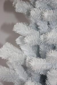 Bellissimo Albero di Natale, abete bianco 150 cm
