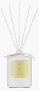 Diffusore Christmas (mandarino, mela, vaniglia)