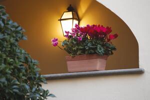 Vaso per piante e fiori Venezia in terracotta colore impruneta H 16 cm, L 40 x P 18 cm