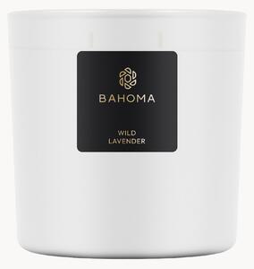 Candela profumata Wild Lavender (accordi marini)