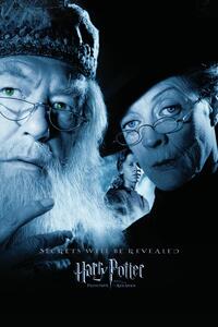 Stampa d'arte Harry Potter and the Prisoner of Azkaban - Dumbledore