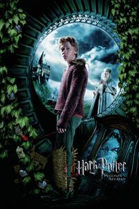 Stampa d'arte Harry Potter and the Prisoner of Azkaban - Ron