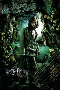 Stampa d'arte Harry Potter and the Prisoner of Azkaban - Sirius