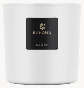 Candela profumata Eau de Mer (marino, agrumi, verde)