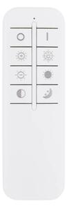 Globo 67387-60D - Plafoniera LED dimmerabile LAUREL LED/60W/230V trasparente+telecomando