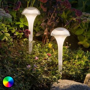 Lampada LED Assisi con picchetto, luce colorata