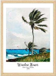 Poster in cornice 55x75 cm Winslow Homer - Wallity
