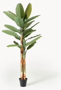 Pianta artificiale Banana Tree