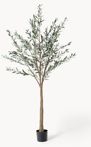 Pianta artificiale Olive Tree