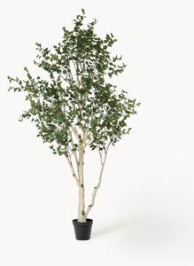 Pianta artificiale Birch Tree Green