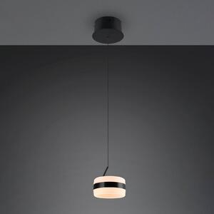 Trio Lighting Lampada LED a sospensione Dios, nera, Ø 15 cm, metallo, CCT dimmerabile, Nero, Soggiorno / Sala da pranzo, Metallo, Moderno