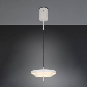Trio Lighting Lampada LED a sospensione Keaton, grigio chiaro, Ø 40 cm, metallo, CCT dimmerabile, Alluminio / Grigio / Zincato, Soggiorno / Sala da pranzo, Metallo