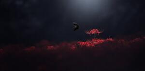 Fotografia Raven black and red, Takashi Suzuki