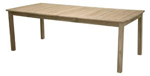 Tavolo esterno Dallas C11476x100cm, Luminoso legno, Legno
